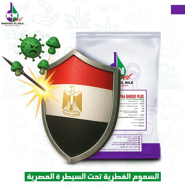 494376451 1106249041523334 3300996402646575529 n