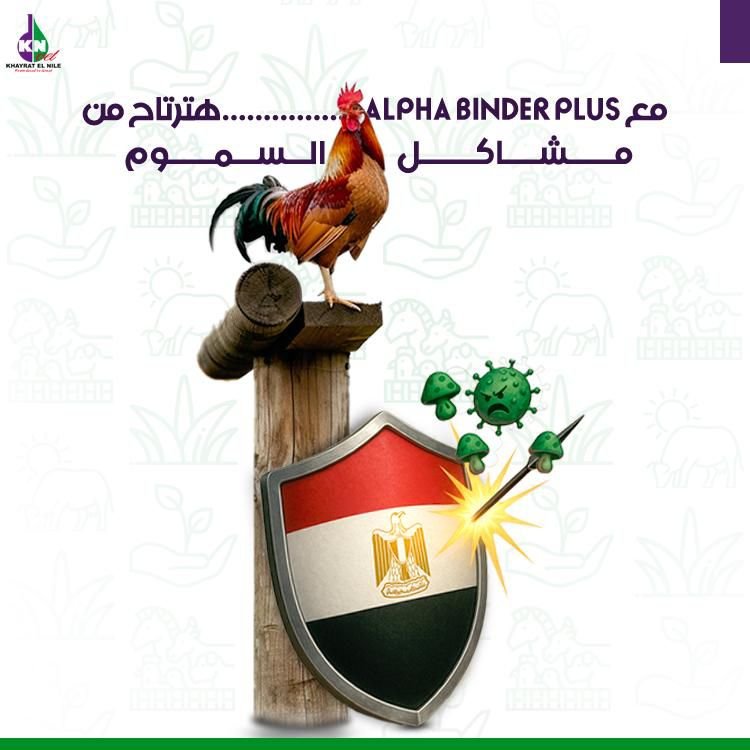 500165842 1126457722835799 4236457351284643911 n