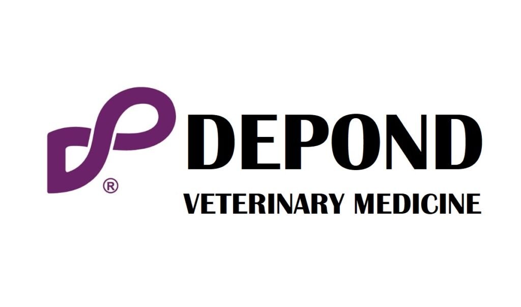 85300 1574841674 1024x603