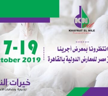 20723 1570953565 360x320