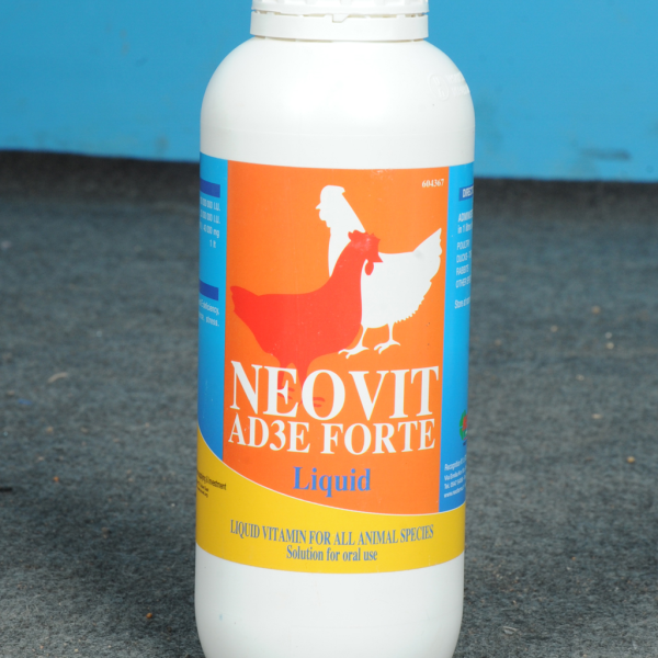 نيوفيت أ د 3 هـــ