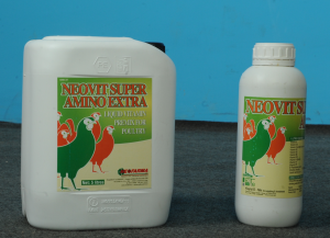 نيوفيت هــ + س