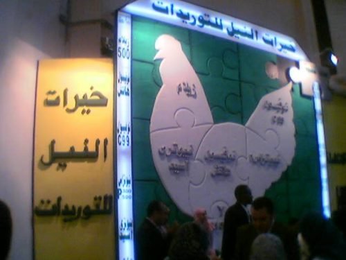 Image(07)