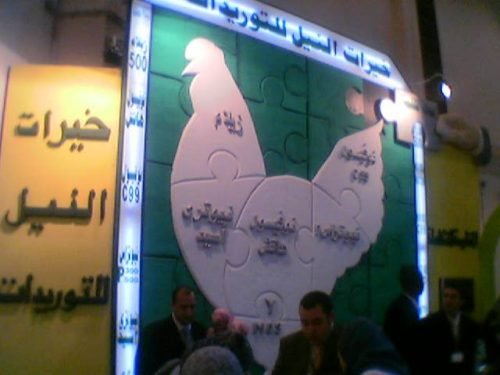 Image(20)