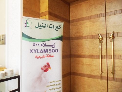 SAM_0883